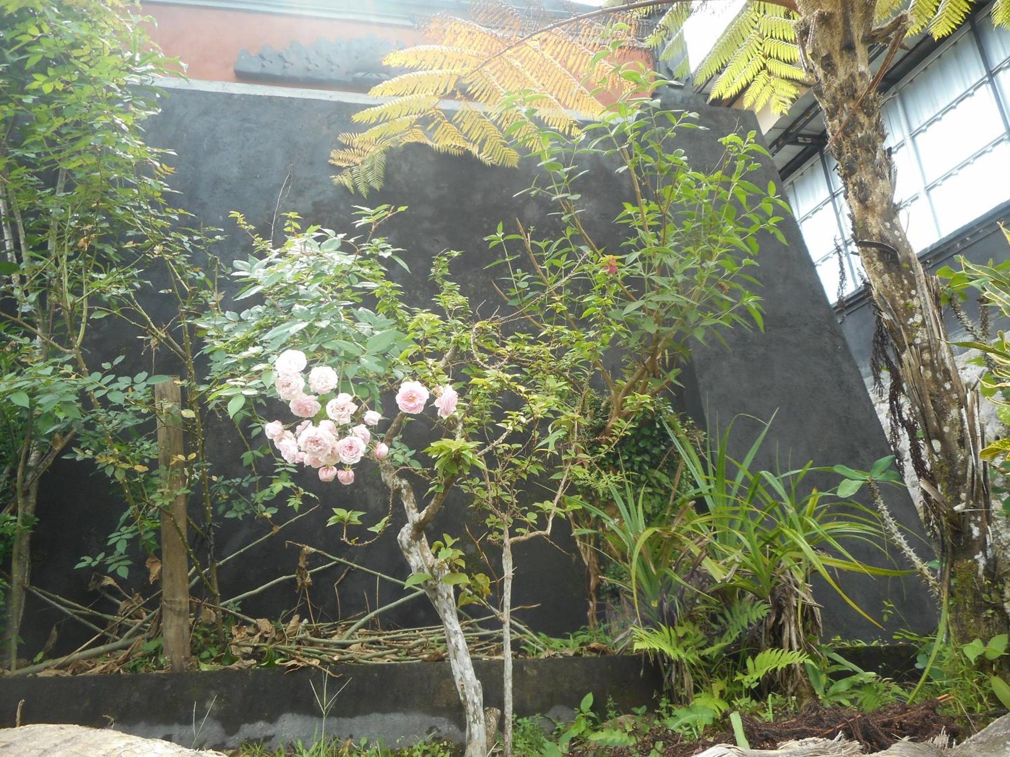 Kadek Besakih